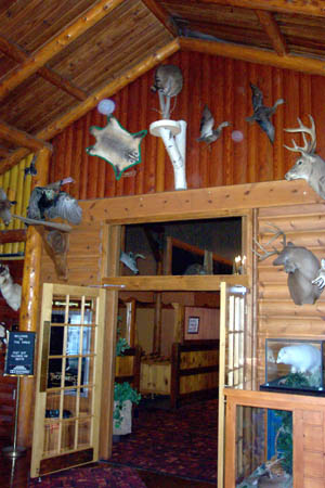 Pines Theatre - Display